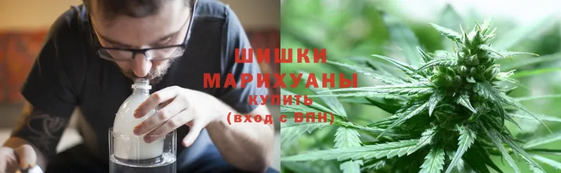 Шишки марихуана OG Kush  где купить   Астрахань 